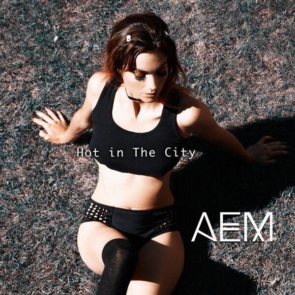 Cover art for Hot in the City